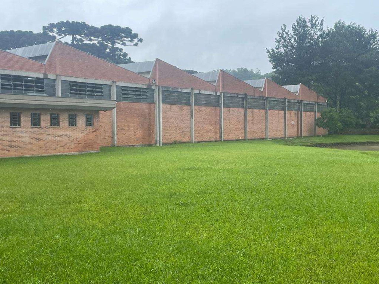 Galpão no Planalto (foto 6 de 13)