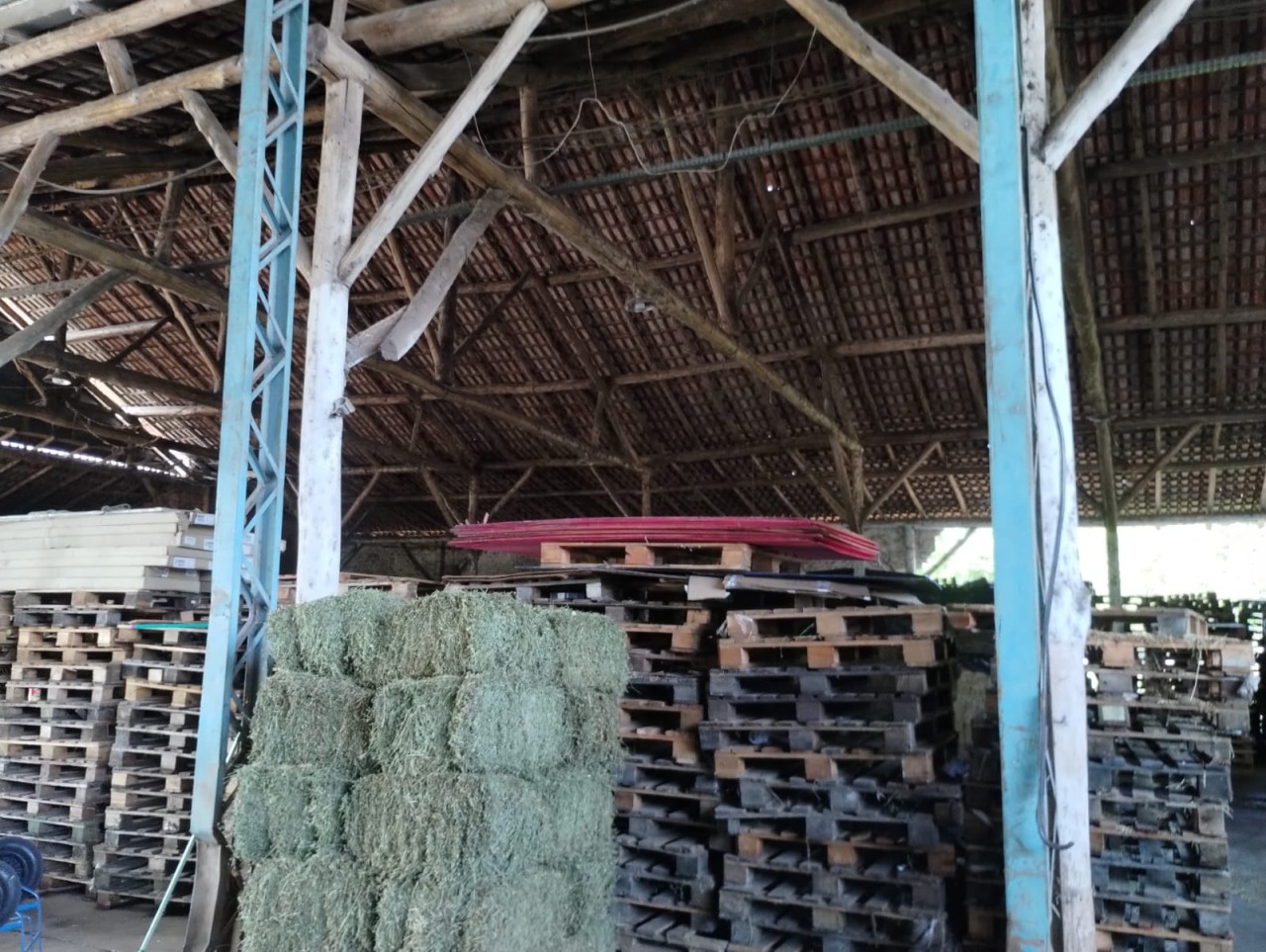 Galpão (foto 12 de 24)