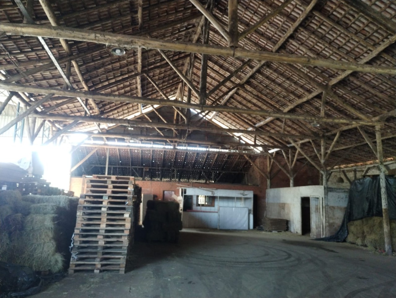 Galpão (foto 10 de 24)