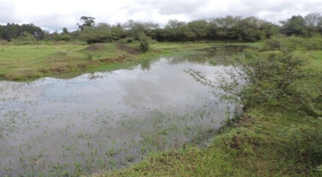 IMÓVEL INDUSTRIAL (MINERADORA) COM ÁREA DE 27ha EM CACHOEIRA DO SUL/RS
