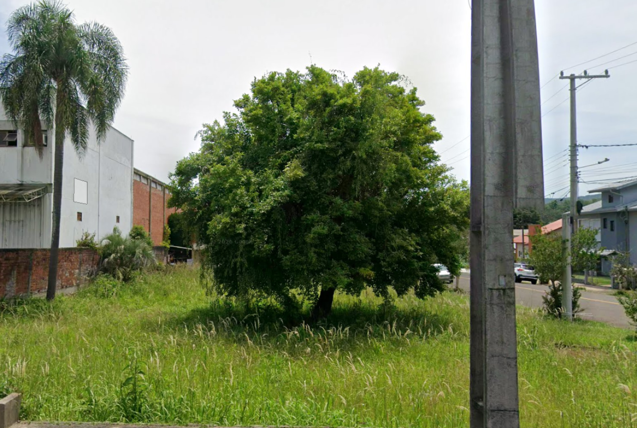 Terreno no Floresta (foto 3 de 4)