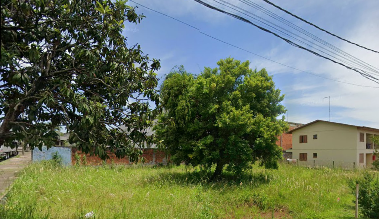 Terreno no Floresta (foto 2 de 4)