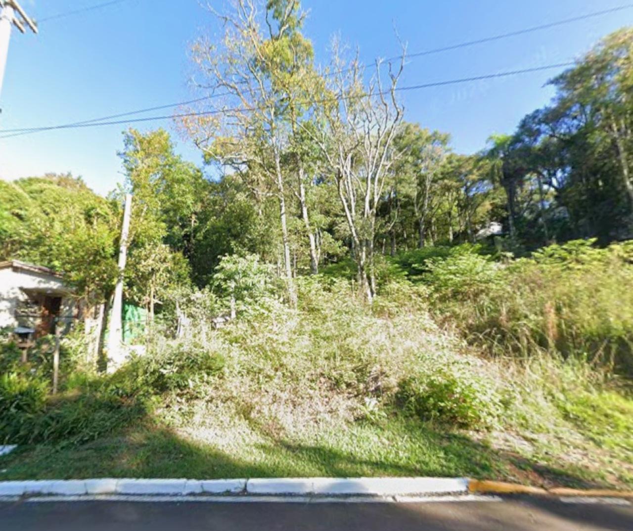 Terreno no Vale dos Pinheiros (foto 3 de 3)