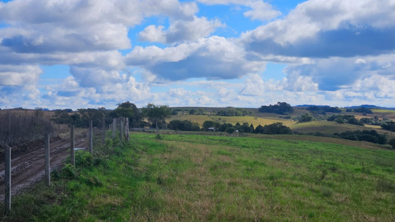 LOTE ÚNICO — GRANDE ÁREA RURAL COM 108,5 HECTARES EM CRIÚVA, CAXIAS DO SUL/RS