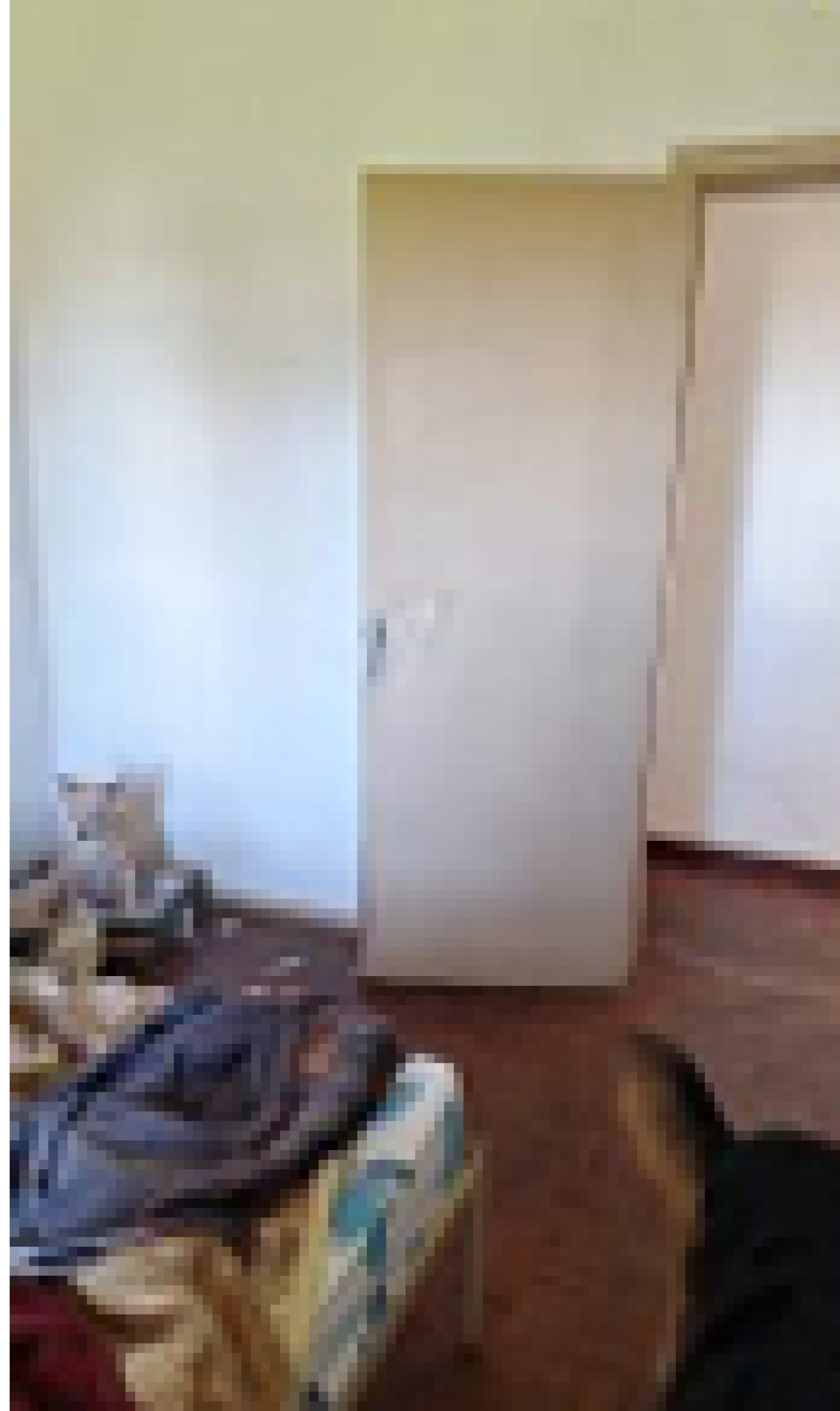 Casa no Nossa Senhora de Fátima (foto 9 de 18)