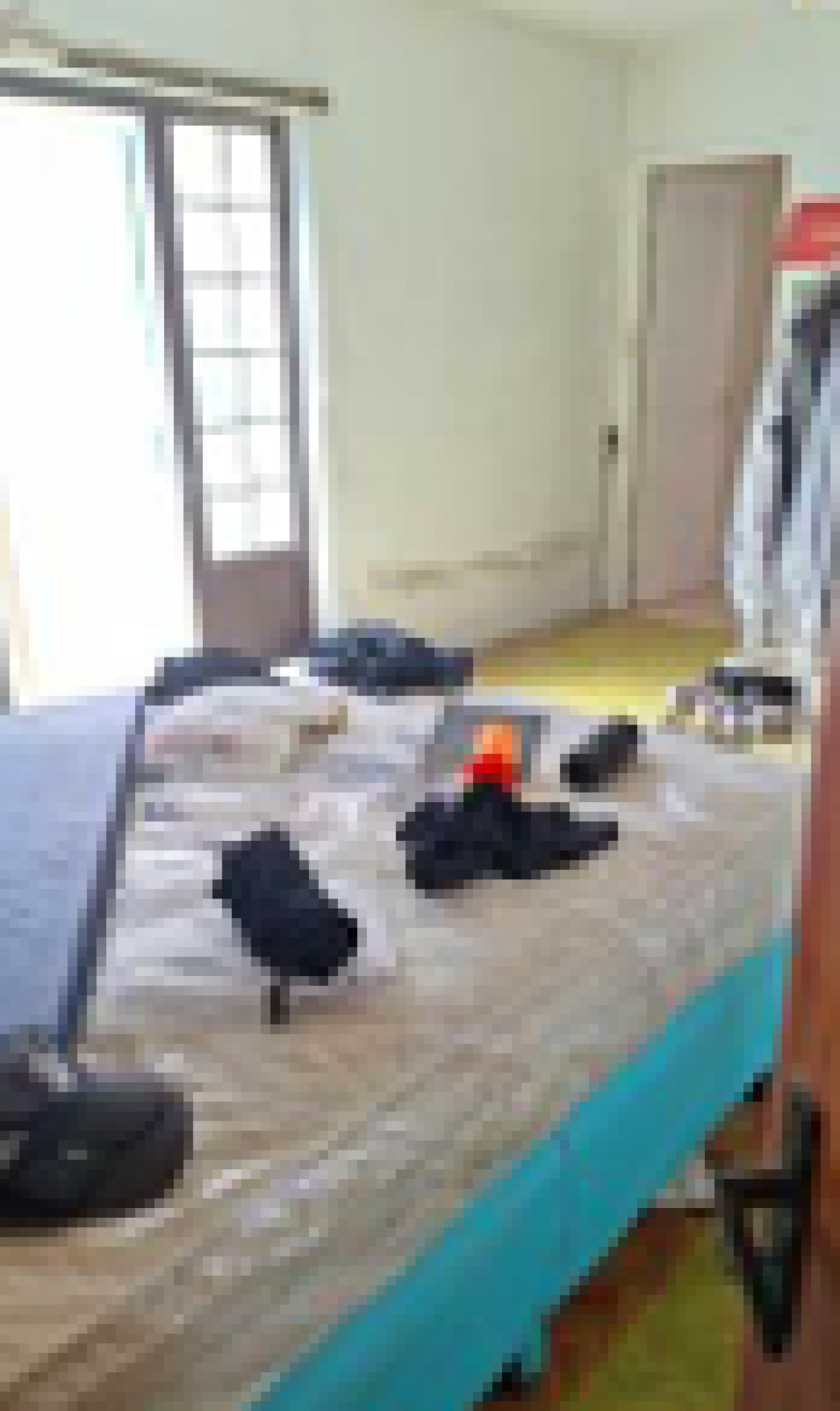 Casa no Nossa Senhora de Fátima (foto 16 de 18)