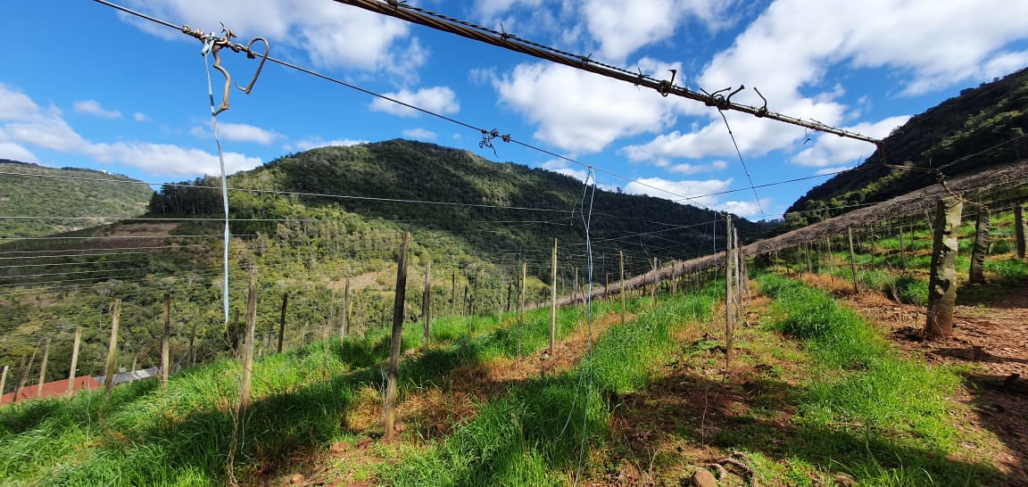 FRAÇÃO DE TERRAS DE 30.000,00m² EM BENTO GONÇALVES/RS